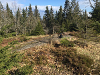 Osten_20210507_60957a151ea86.jpg