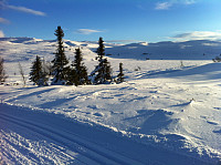 osten_hallingnatten_12.jpg