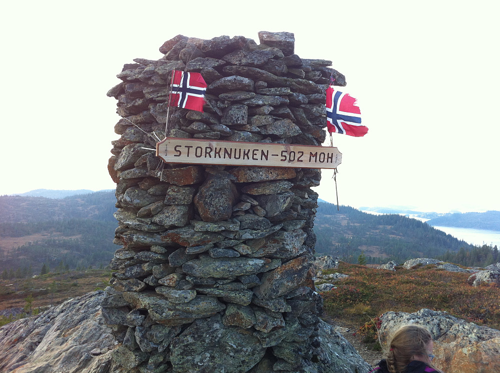 Stor fin varde med flagg