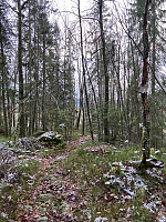 Nina2412hauge_20210101_5fef2f1eba4a7.jpg