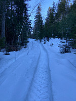 Nina2412hauge_20210305_604217d5a7f09.jpg