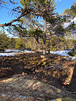 Nina2412hauge_20210414_607747f981eb4.jpg