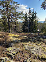 Nina2412hauge_20210414_607747fa40582.jpg