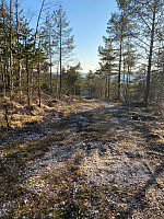 Nina2412hauge_20210414_607747fc221ec.jpg