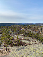 Nina2412hauge_20210417_607b00bcabe43.jpg