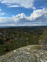 Nina2412hauge_20210501_608d7a02dda2c.jpg