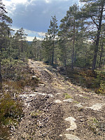 Nina2412hauge_20210501_608d7a0382d3f.jpg