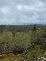 Nina2412hauge_20210523_60aa535687c50.jpg