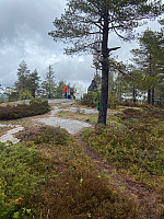 Nina2412hauge_20210523_60aa53573650c.jpg