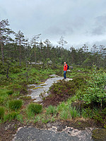 Nina2412hauge_20210619_60ce01a87ae6a.jpg