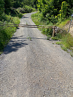 Nina2412hauge_20210703_60e08b6724aad.jpg