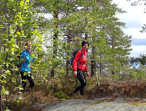 Lill og Marit ankommer ca. 4 timer etter starten fra Bjørkedokk. Tverråsen er topp nr. 5 på topp7turen. 