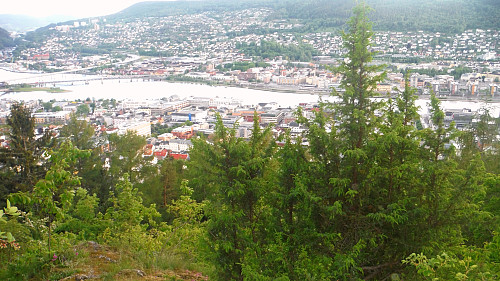 Langs Ingeniør Walthers vei er det mange fine utsiktspunkt mot byen og fjorden. 