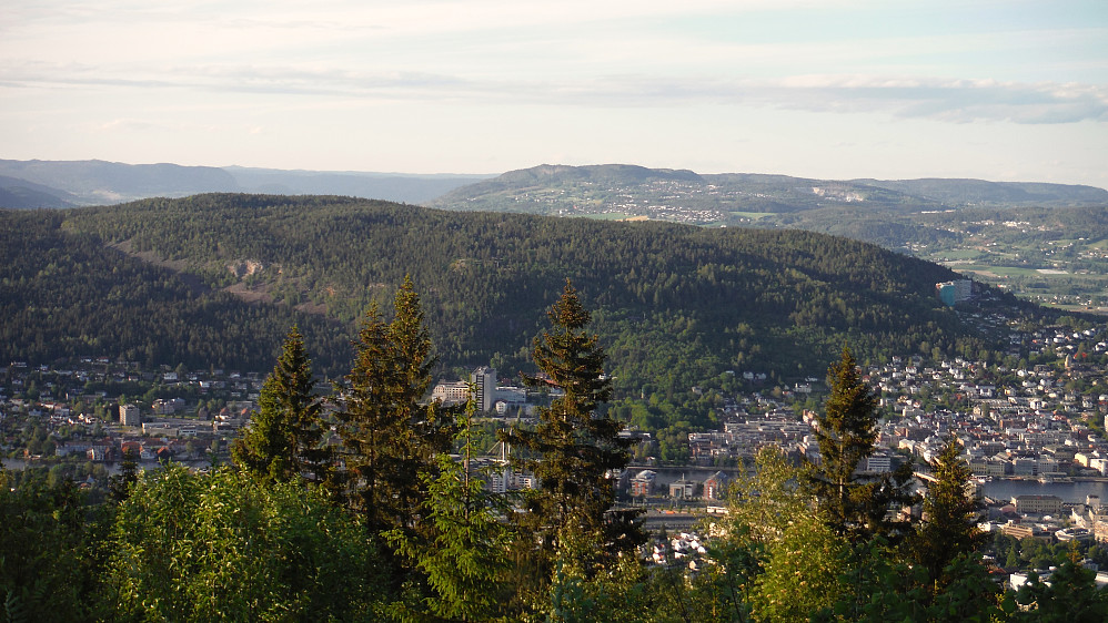 Bragernesåsen sett fra Haukås