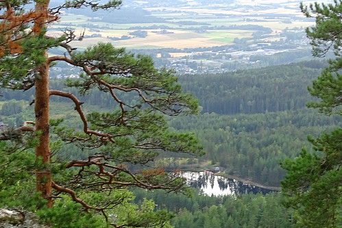 Utsikt fra Hesholsfjellet
