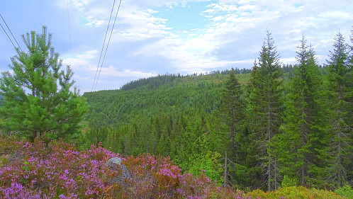 Åsen og kraftlinja