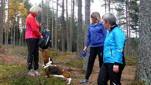 Oscar lurer på om det er en gobit i sekken ... 