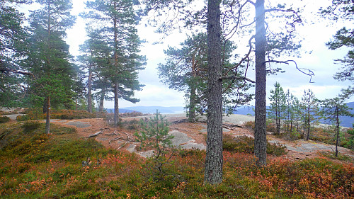 Platået på Knabben