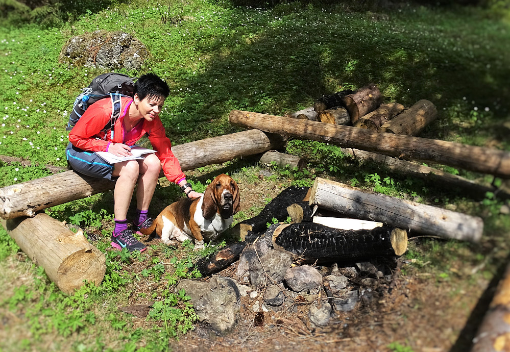 Kos med hund på Myrstusetra. Lill og Oskar. 