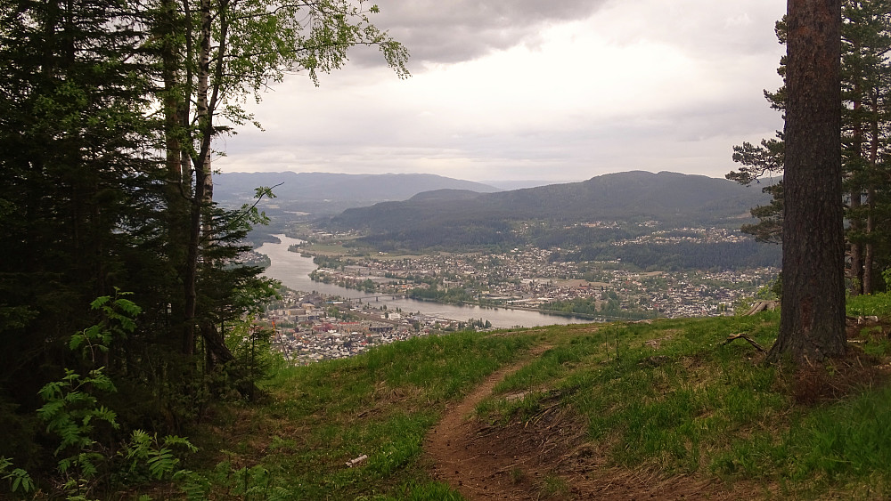 Ryggåsen