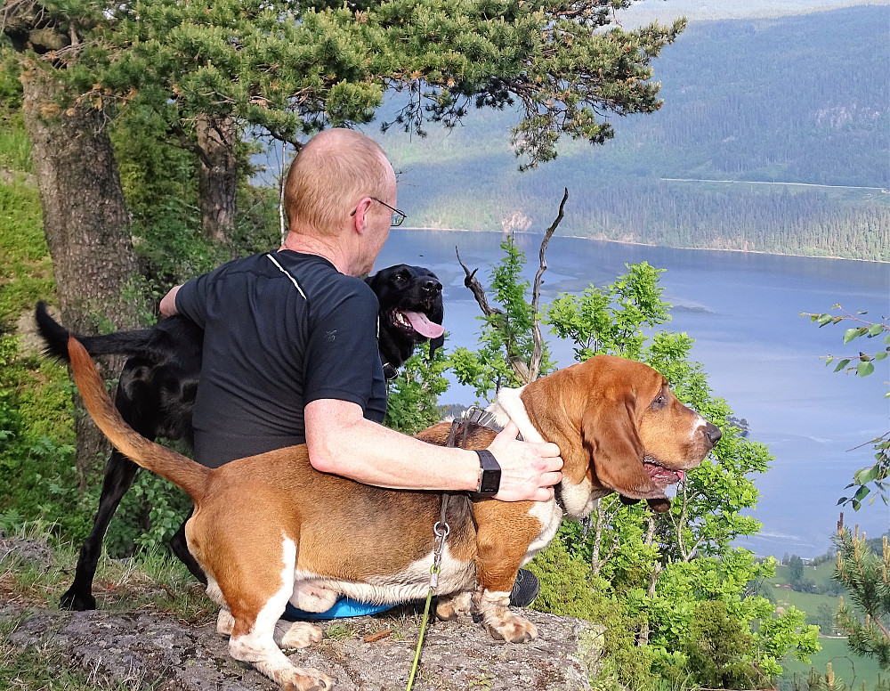 Alltid hyggelig med hund på tur. Knut flankert av Benny og Oskar. 