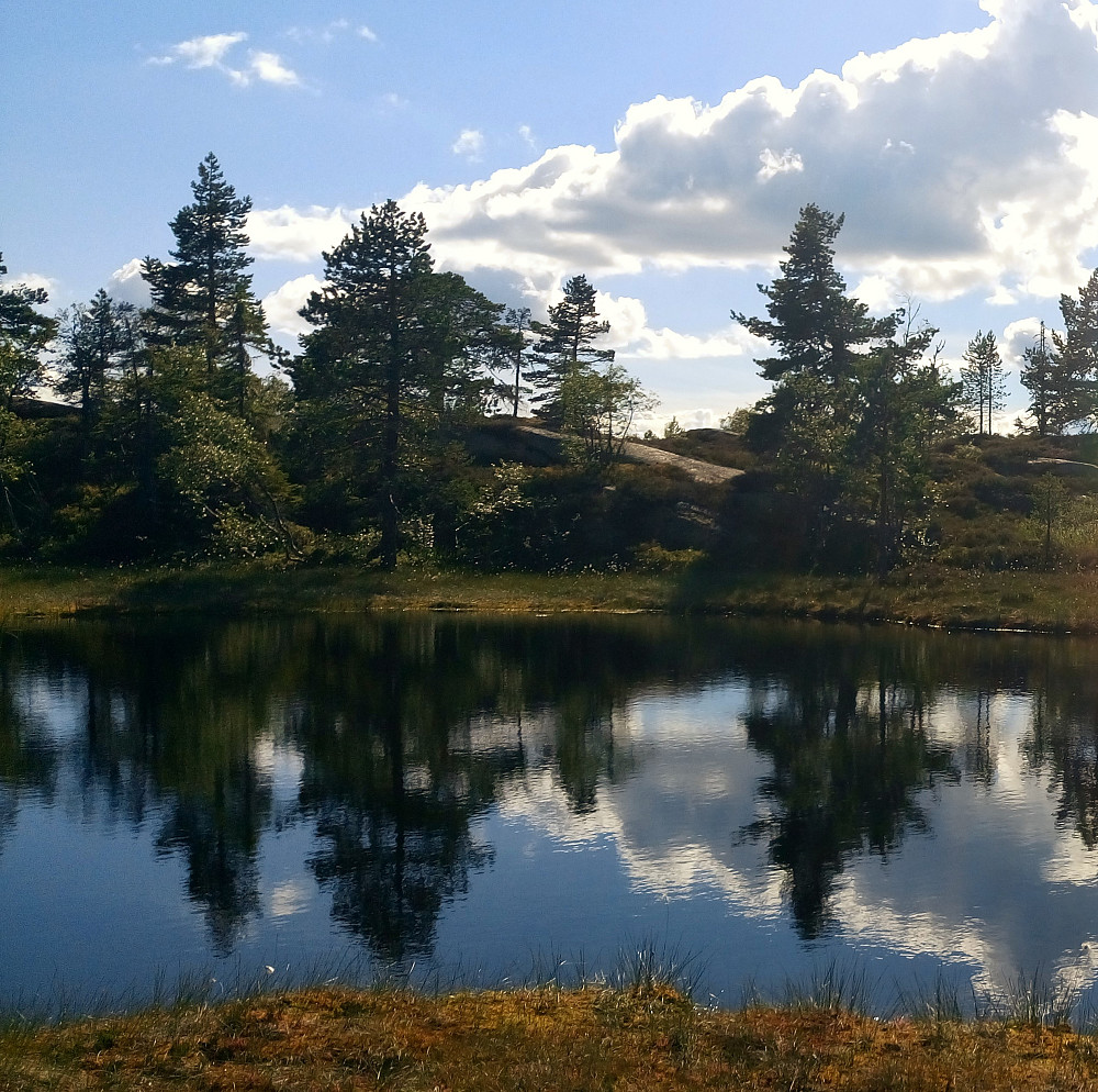 "Småpent" 