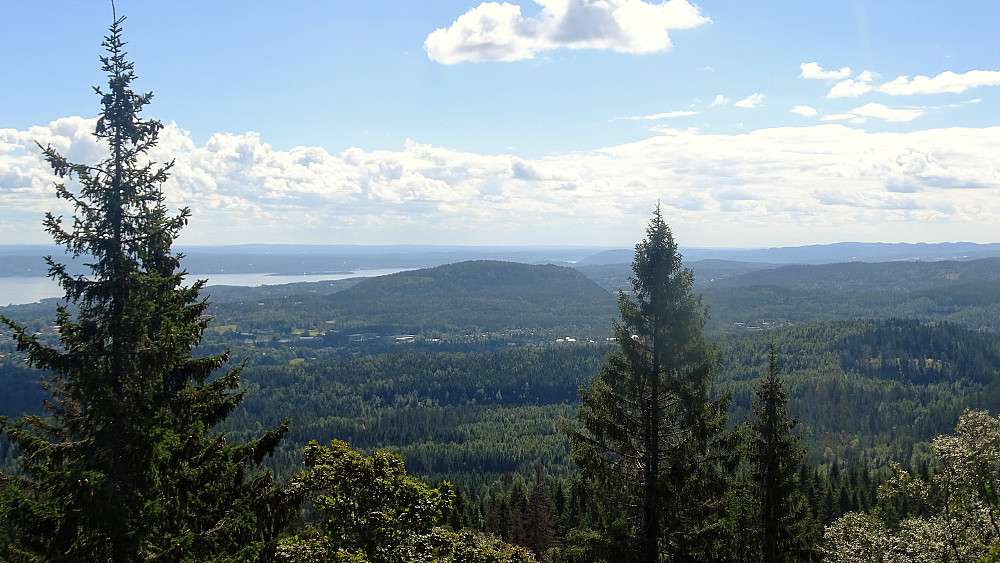 Utsikt mot Vardåsen og fjorden