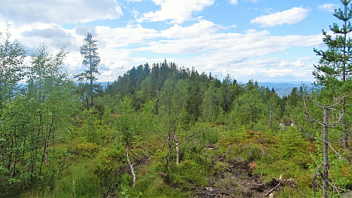 Helvetesnuten. Merkelig navn for en uskyldig kolle