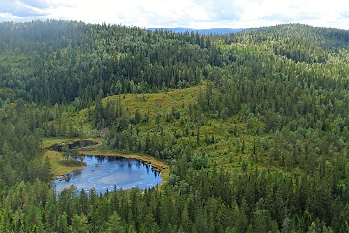Hogskollen og Lokkeråsen