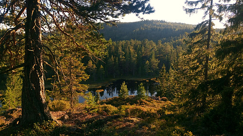 Utsikt fra Skorpeberget