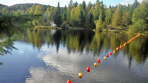 Hvalsdammen