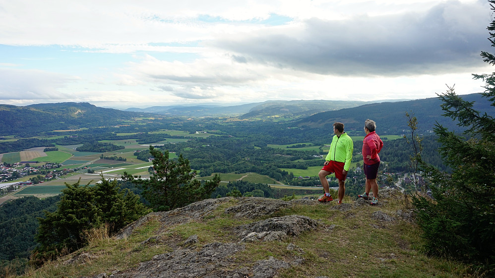 Hørtekollen