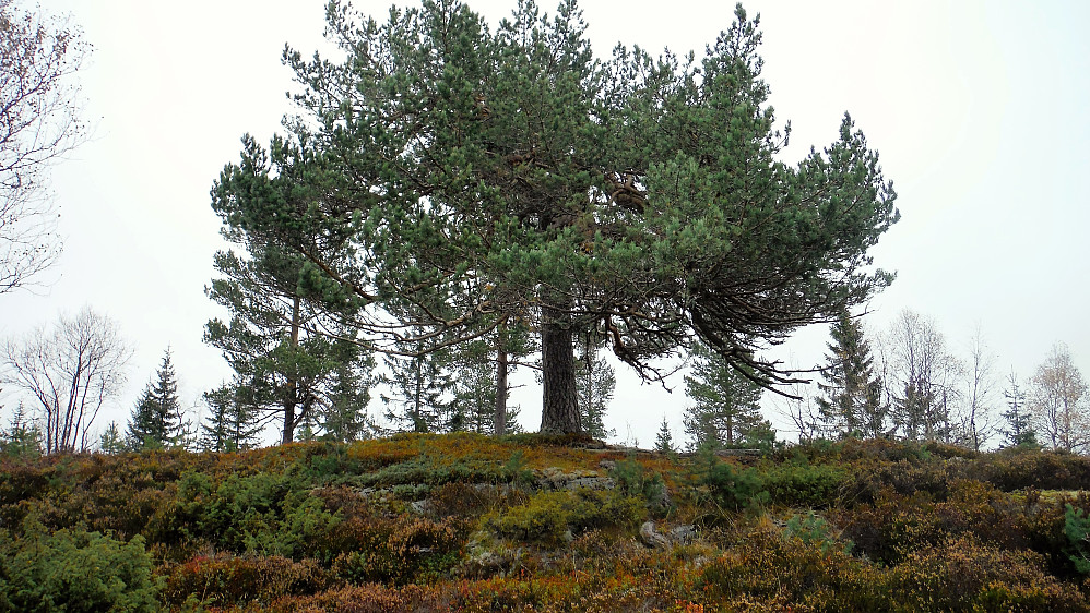 På vei mot Kapenhaug Vest