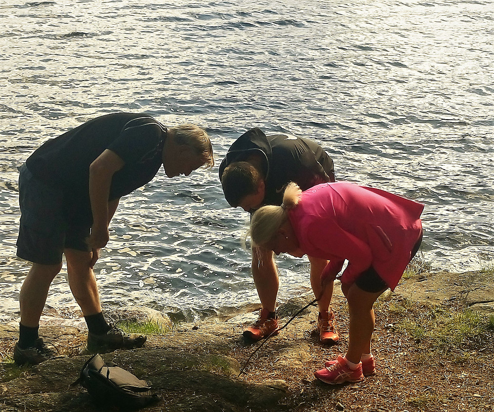 Linda har funnet en flått ... eller var det en liten edderkopp? :)