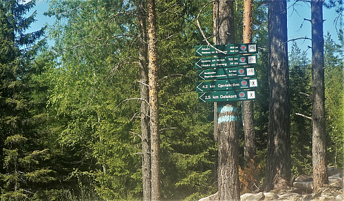 Mange muligheter herfra, spesielt med sykkel. 