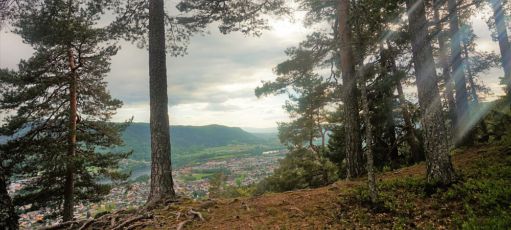 Buståsen