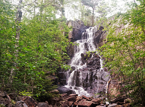 Fossen  ved Gamledammen