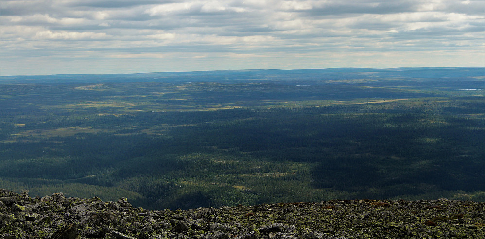 Mot flate fjell og store skoger i Sverige. 