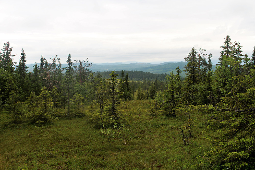 Mange store myrer. Noe utsikt mot Trysilfjellet. 