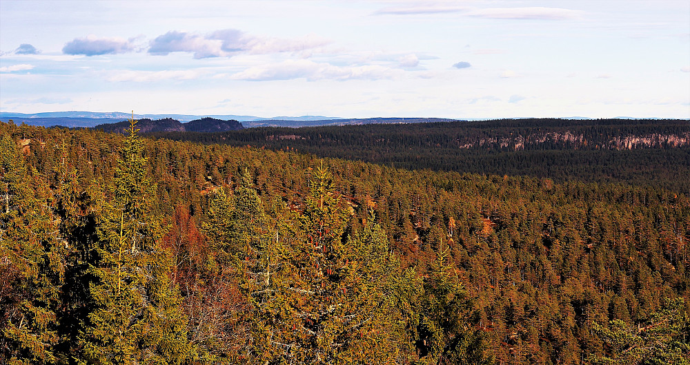 Fra Lokkeråsen østover mot Tverråsen og Eggekollene