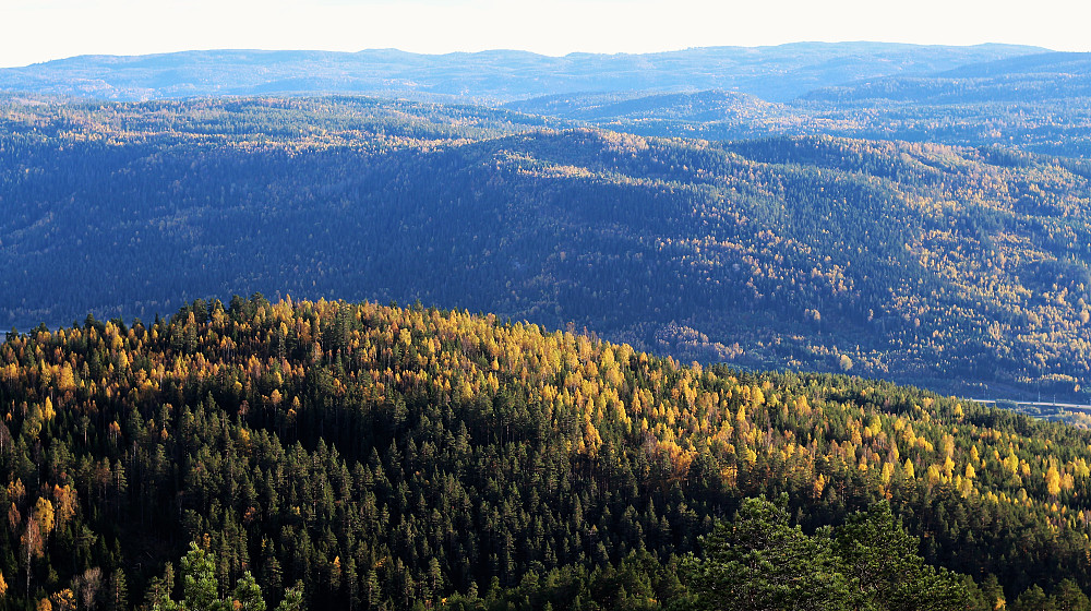 Fra Solbergvarden mot Solbergfjellet Mjøndalsskauen