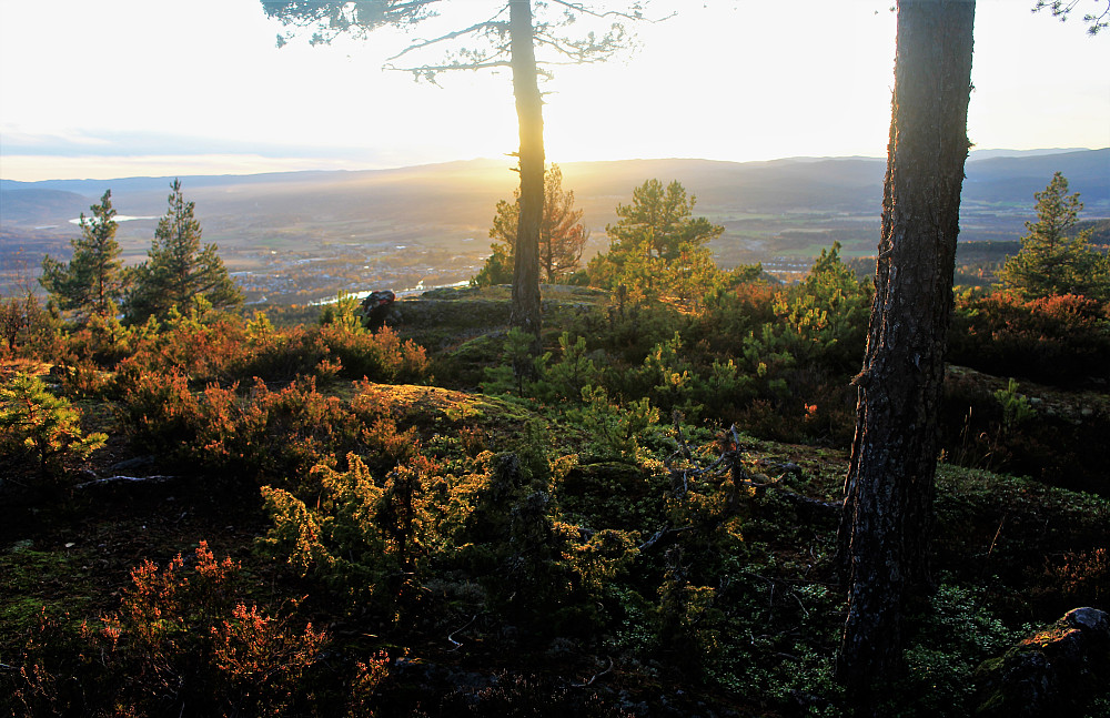 På toppen av Røysåsen med utsikt mot vest.