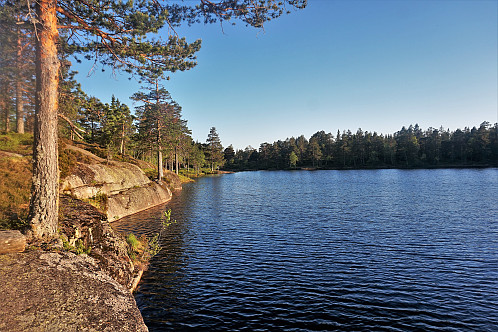 Vakkertjern