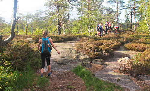 På vei opp Skimtheia