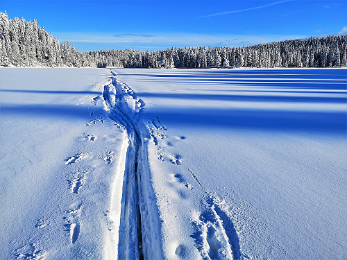 Over Vrangen. Mye overvann, ikke helt bra for glia på felleskia. 