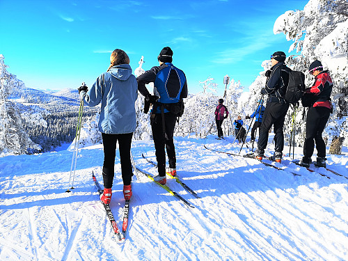 Flere enn meg så sto der oppe og nøt utsikten over vinterskogen. 