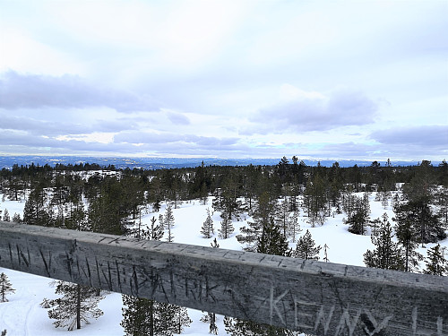 Utsikt fra tårnet