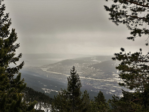 Lokkeråsen