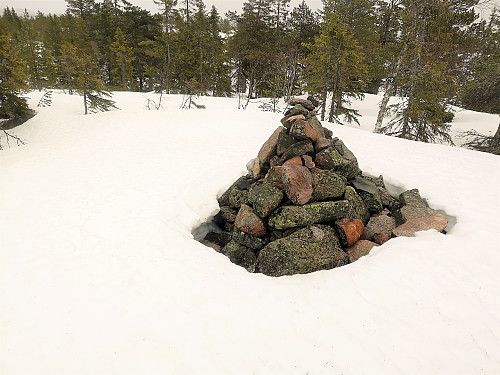 Hoggskollen