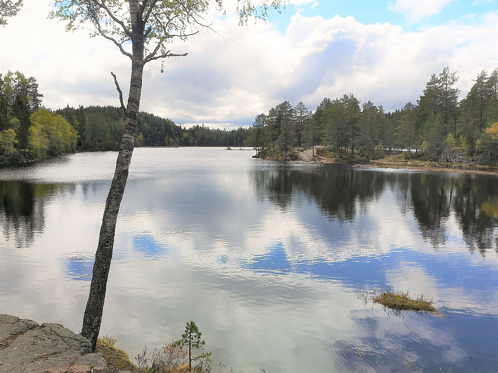 Stuvstjern